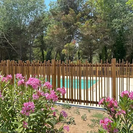 Agence Jf Immo - 4 Pers Climatisation Piscine Et Parking 300 M Plages V0775 *